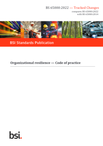 BSI – BS 65000 (Digital Copy – PDF)